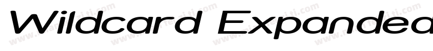Wildcard Expanded Italic Expanded I字体转换